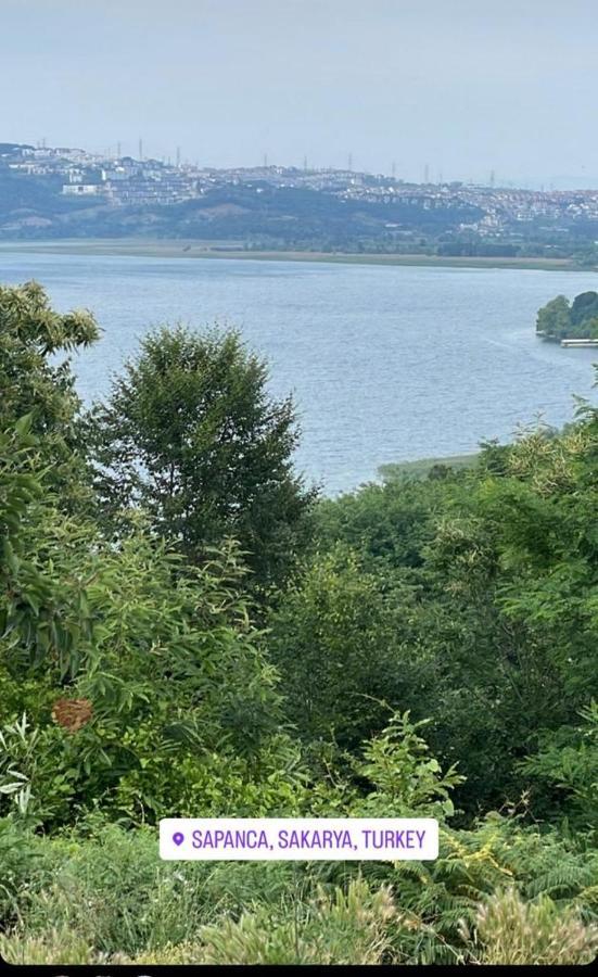 Sapanca Manzara Villa 1 Isitma Havuzlu Bagian luar foto
